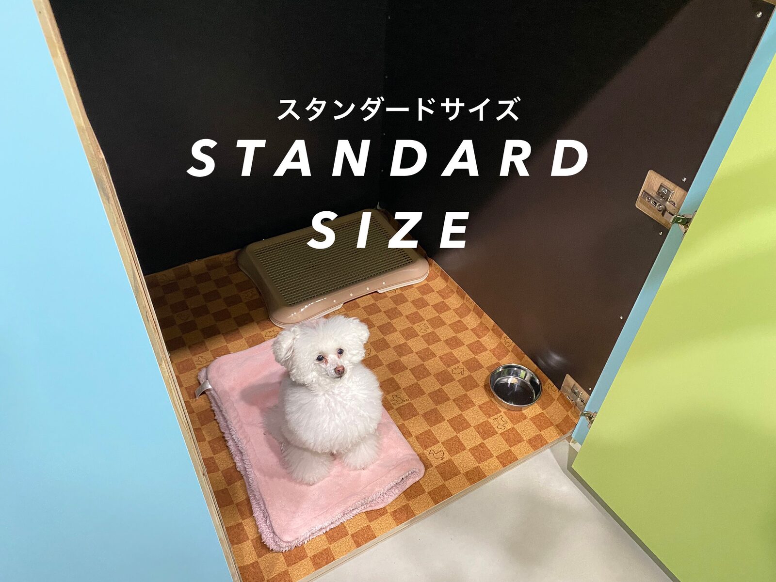 ペットホテル スタンダードルームの様子