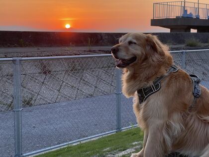 夕焼け