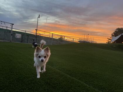 夕焼け
