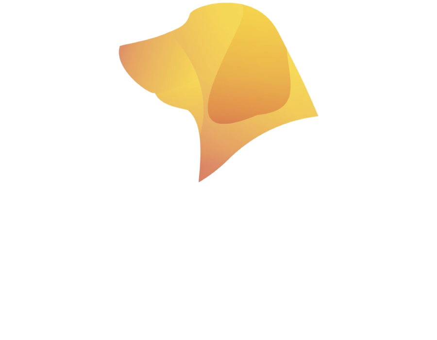 TOWATERA ｜ Twilight Honey Terrace