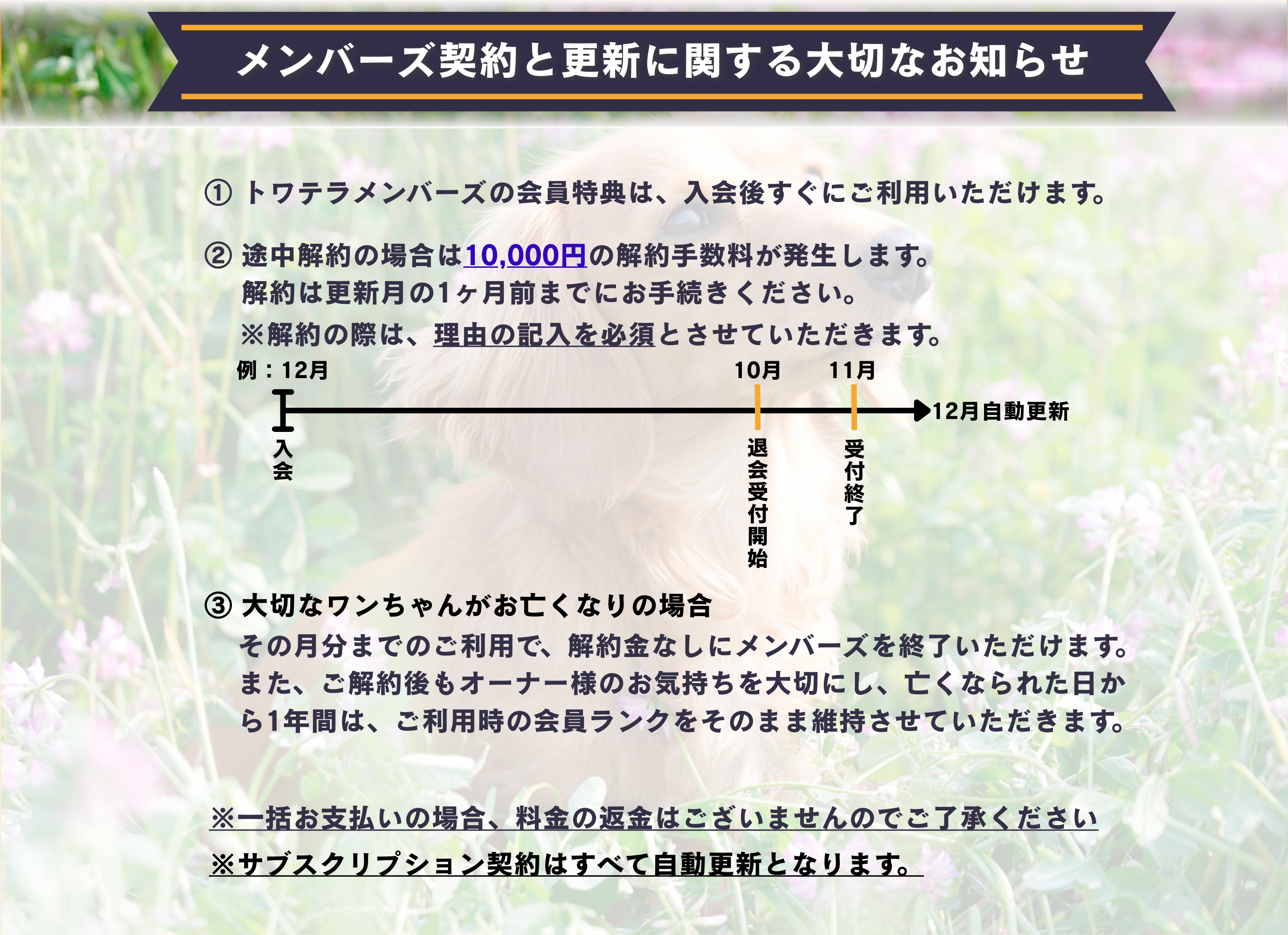 トワテラメンバー会員制度に関する
