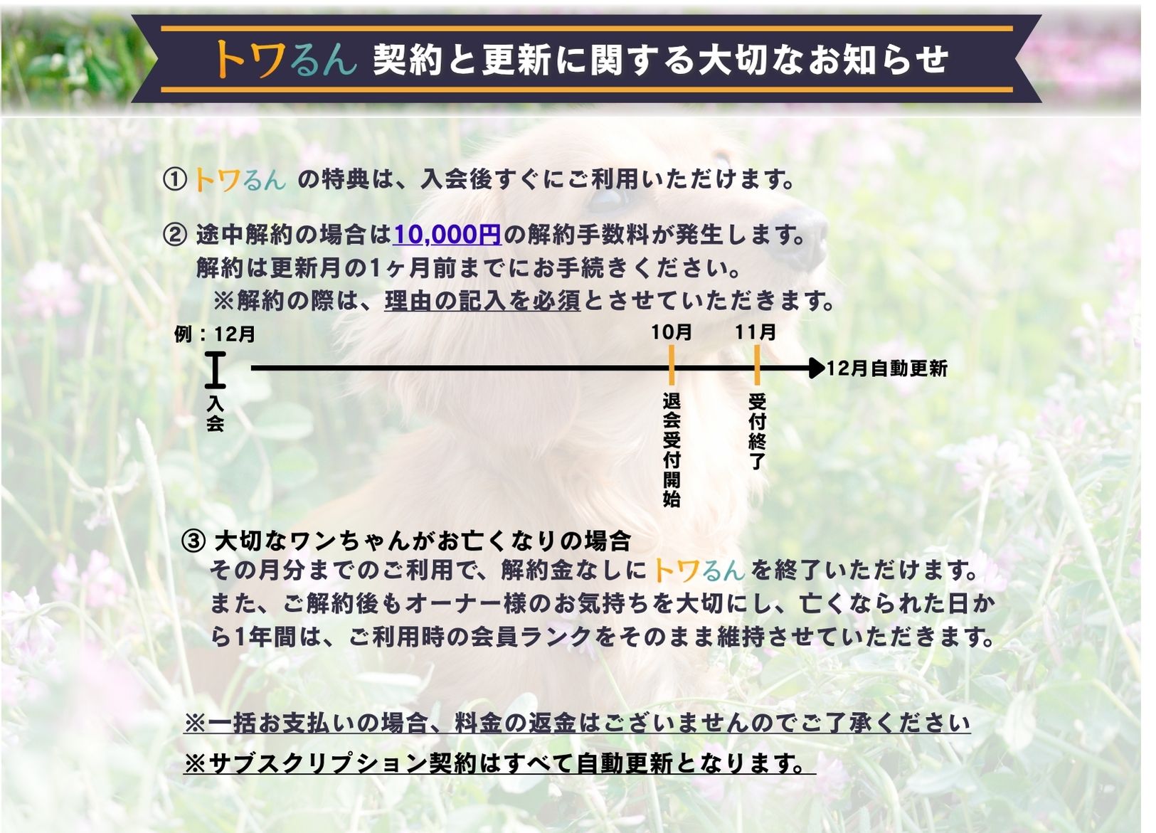 トワテラメンバー会員制度に関する